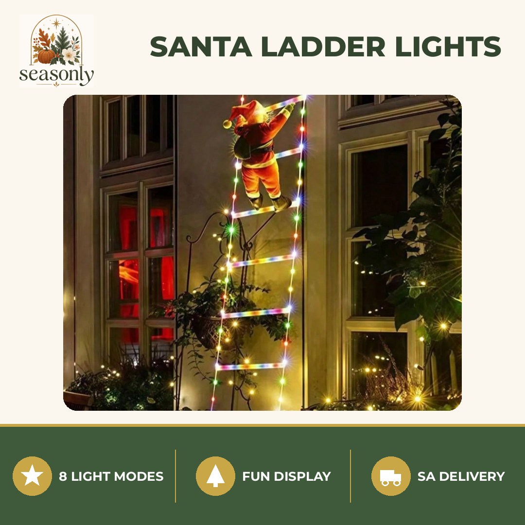 Seasonly Santa Climbing Ladder Lights