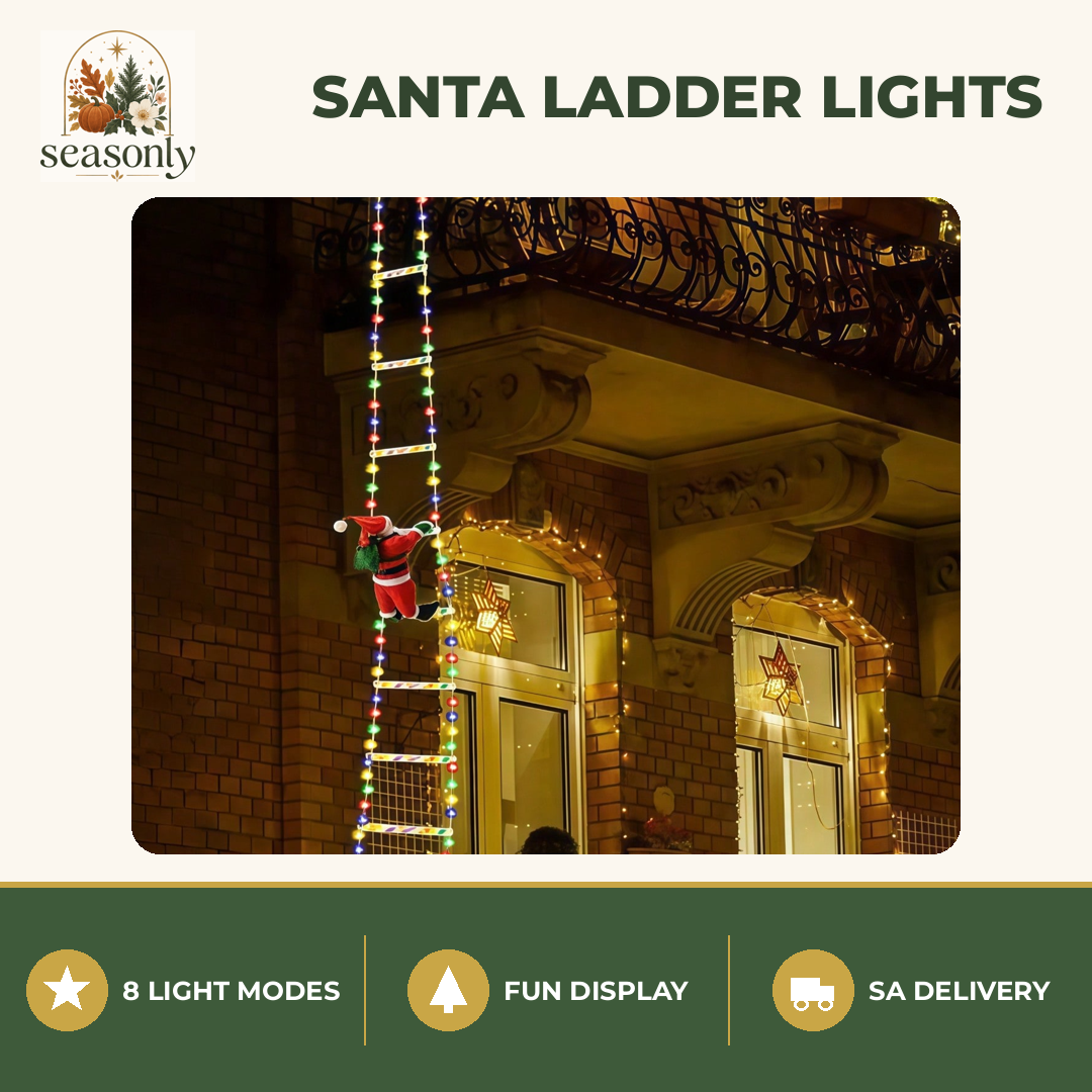 Seasonly Santa Climbing Ladder Lights