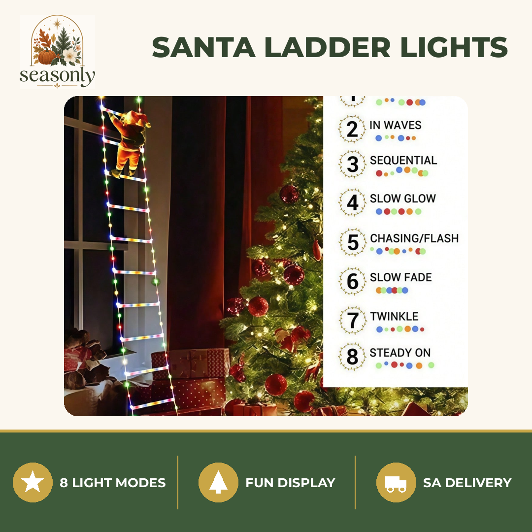 Seasonly Santa Climbing Ladder Lights