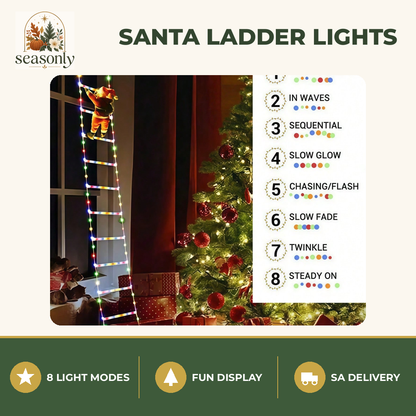 Seasonly Santa Climbing Ladder Lights