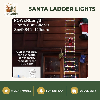Seasonly Santa Climbing Ladder Lights