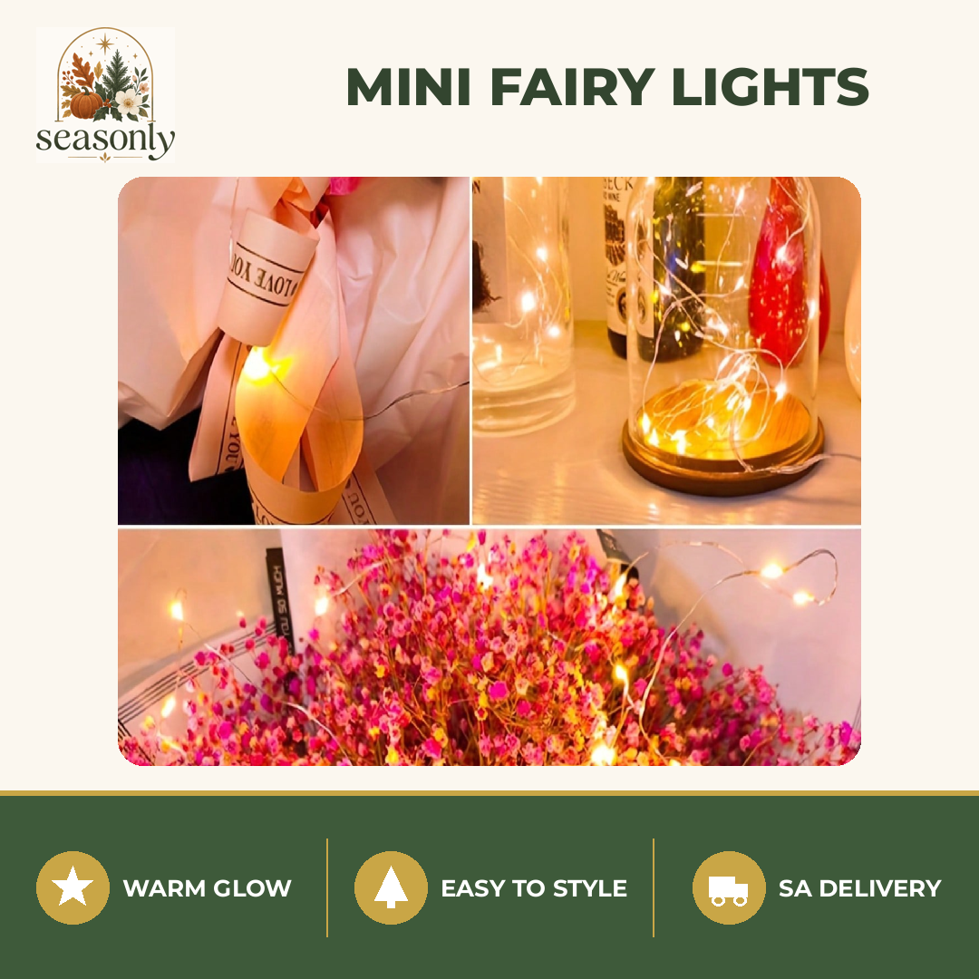 Seasonly Mini Fairy Lights – Multipack