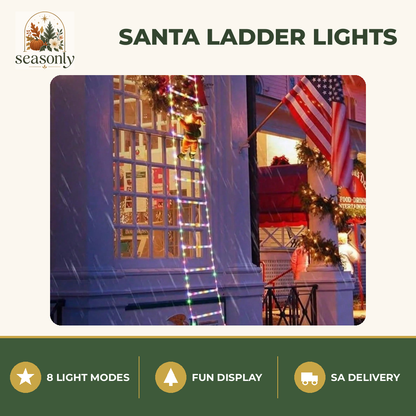 Seasonly Santa Climbing Ladder Lights